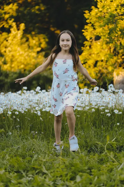 Pequena Menina Bonito Vestido Verão Posa Pelo Campo Com Margaridas — Fotografia de Stock