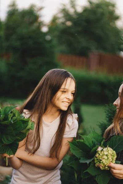 Retrato Duas Meninas Pequenas Que Estão Andando Parque Colhendo Floridos — Fotografia de Stock