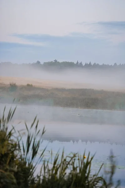 Толстый Туман Над Рекой Холодное Туманное Утро Берегу Реки Возле — стоковое фото