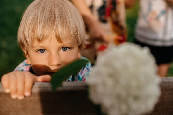 Портрет Маленького Мальчика Светлыми Волосами Голубыми Глазами Солнечные Лучи Освещают — стоковое фото