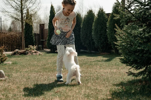 Uma Menina Bonita Uma Camiseta Branca Brinca Com Pequeno Cão — Fotografia de Stock