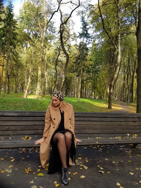 A stylish girl in a light coat with a beret on her head sits on a bench in an autumn parkra on a sunny day. Autumn time, yellow leaves on the asphalt.