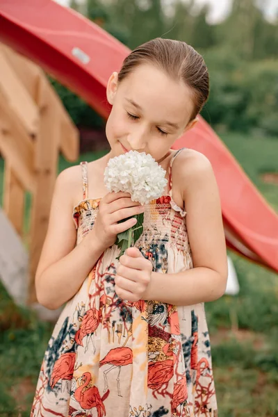 Little Girl Summer Dress Enjoys Scent Hydrangea Outdoors Portrait Child — Stockfoto