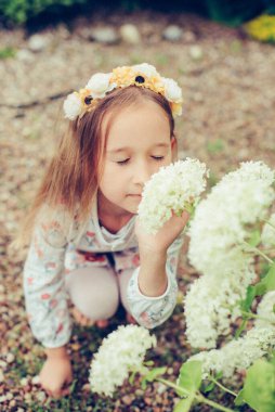 Kahverengi gözlü şirin bir kızın portresi, çocuk şehrin dışındaki çiçek aromasının tadını çıkarıyor. Kafasında çelenk olan bir çocuk beyaz bir ortancanın yanında poz veriyor. Seçmeli odak, ayrışma.