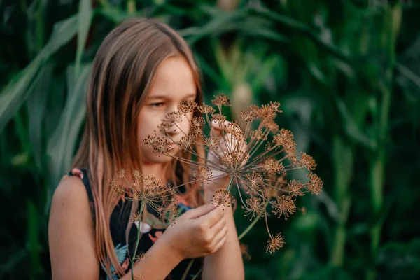 Portrait Cute Little Girl Brown Long Hair Examines Dill Seeds — Stock Photo, Image