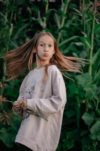 Fénykép Mozgásban Egy Aranyos Kislány Pózol Kukoricamező Hátterében Haja Fúj — Stock Fotó