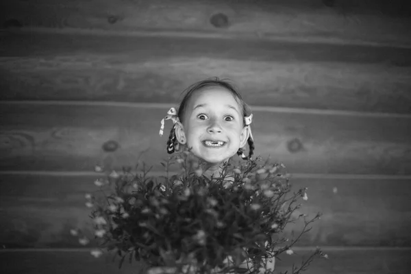 Holčička Culíčky Usmívá Zuby Drží Rukou Kytici Divokých Květin Dítě — Stock fotografie