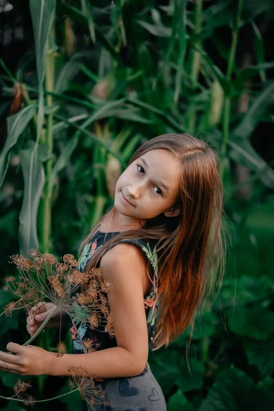 Портрет Милой Маленькой Девочки Каштановыми Длинными Волосами Позирующей Открытом Воздухе Лицензионные Стоковые Фото