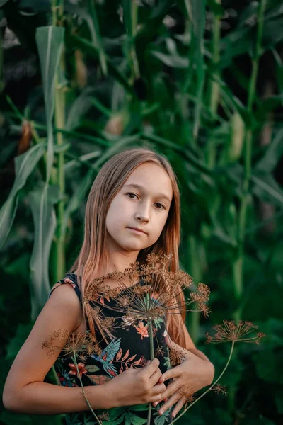 Портрет Милой Маленькой Девочки Каштановыми Длинными Волосами Позирующей Открытом Воздухе Лицензионные Стоковые Изображения