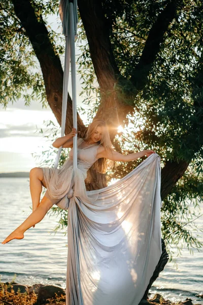 Young Attractive Girl White Dress Engaged Aerial Gymnastics Tree Background — Stock Photo, Image
