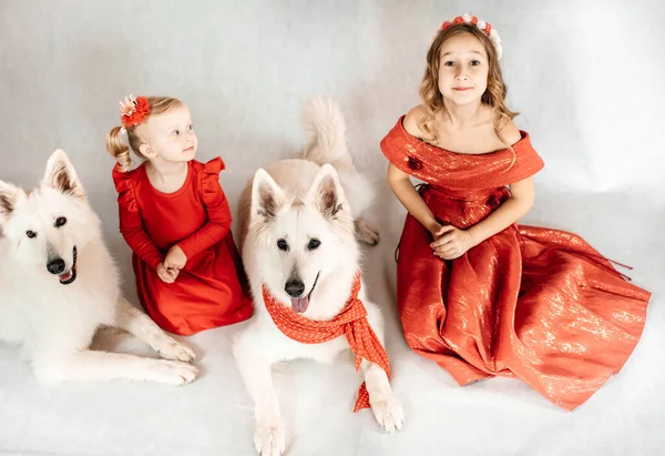 Dos Hermosas Niñas Vestidos Rojos Están Jugando Con Perro Blanco —  Fotos de Stock
