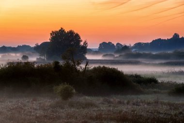 Narew Vadisi, Podlasie, Polonya 'da sisli bir yaz sabahı