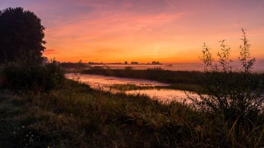 Ormanın güzel manzarası