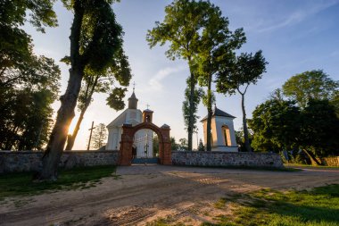 Ormanın güzel manzarası