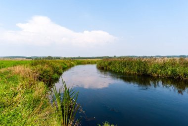 Güz mevsiminde yeşil orman Güzel bir günde