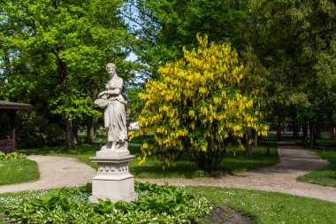 Versailles, Fransa 'daki parkın güzel manzarası