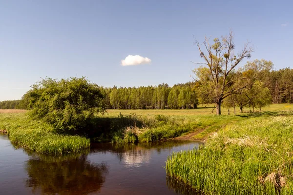 stock image beautiful view of the river in the park