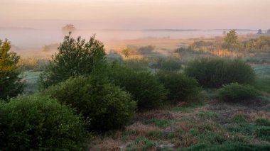 Kırsalda sonbahar sabahı sisi.