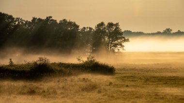 Ormanda güzel bir gün batımı