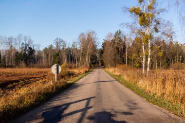 Ağaçların arasında yol olan sonbahar manzarası