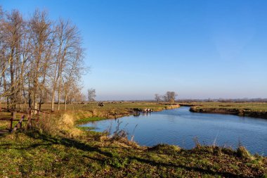 İlkbahar sonbaharda gölde