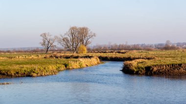 İlkbaharın başında nehir manzarası.