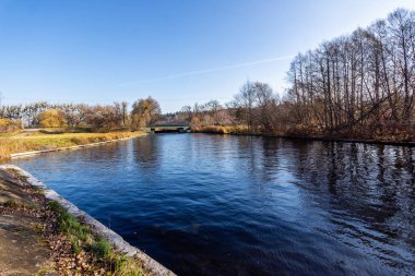 Sonbaharda nehir ve orman