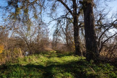 Doğanın güzel manzarası