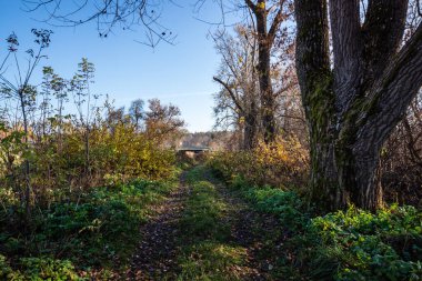 Doğanın güzel manzarası