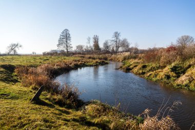 Güneşli bir günde ormanla çevrili bir göl manzarası.