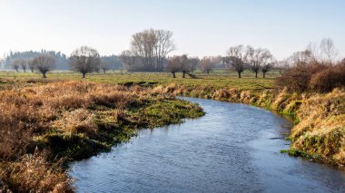 Nehir ve ağaçlarla dolu güzel bir manzara