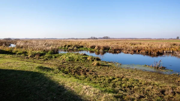 Krásný Výhled Řeku Lese — Stock fotografie