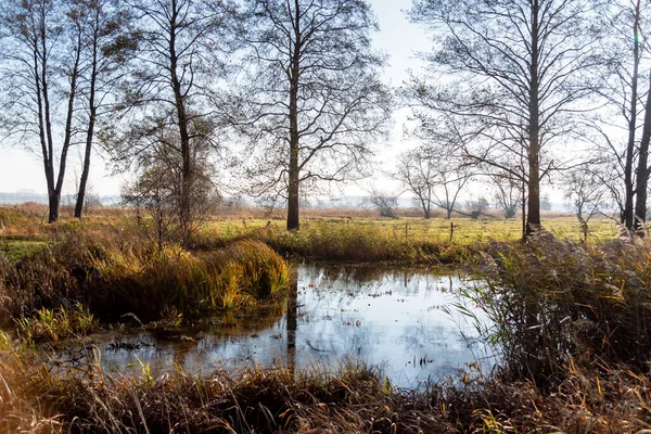 秋天的森林以河流为背景 倒映在水面上的树木 — 图库照片