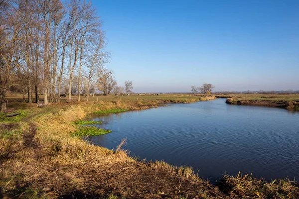 River Morning Beautiful Nature Lake — Stock fotografie