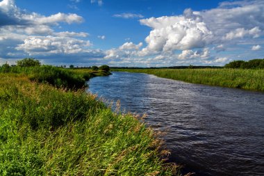 landscape of a river in the summer. a cloudy day, russia.
