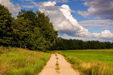 Yeşil çimenler ve mavi gökyüzü ile güzel bir yaz manzarası