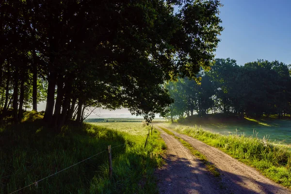 Doğanın güzel manzarası