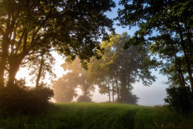 Güneş ışınlarıyla güzel bir gün doğumu