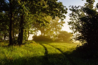 Güzel gün batımı, doğa, yaz, baharda manzara.
