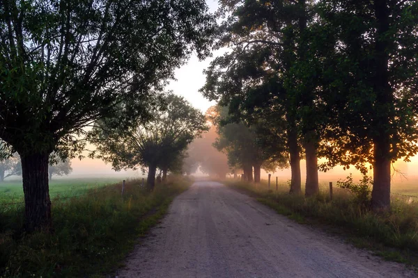 Beautiful Landscape Road — Photo