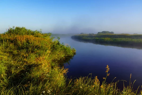 Beautiful Landscape River Nature Flora Fauna — Foto de Stock