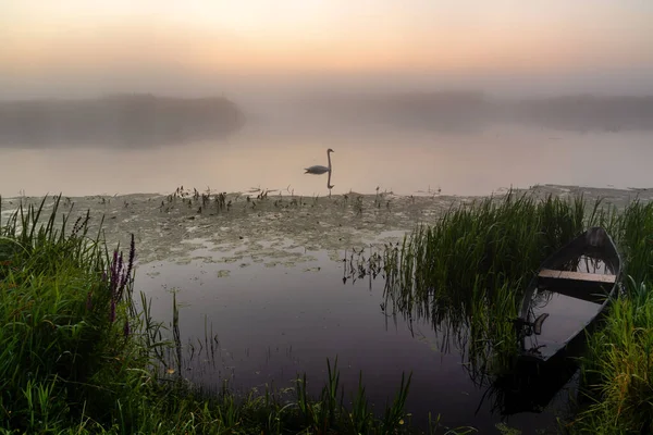 Baharda bir gölde turuncu bir gün batımı manzarası