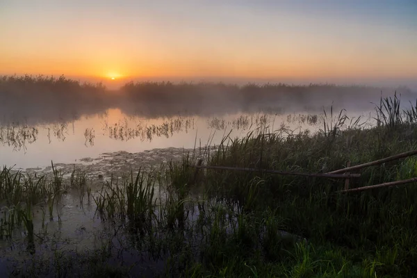 Nebbia Mattutina Sulla Riva — Foto Stock