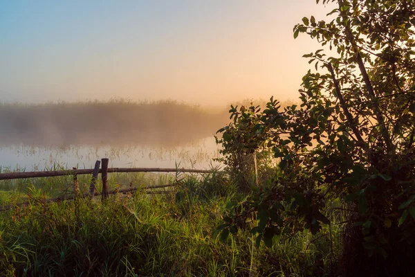 Bellissimo Tramonto Immerso Nel Verde — Foto Stock