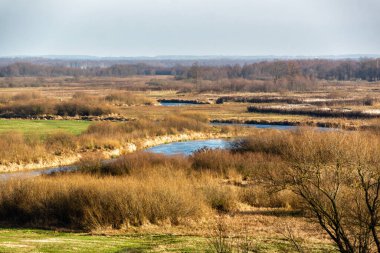 Nehir ve ağaçlarla dolu güzel bir manzara