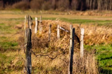 Arkaplanı bulanık olan ahşap bir çitin yakın plan çekimi.