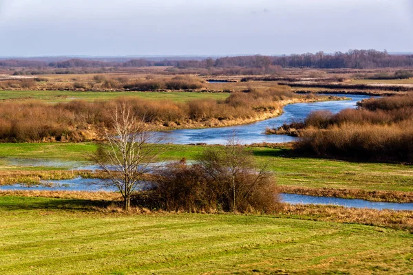 Wunderschöne Landschaft Mit Fluss Und Bäumen — Stockfoto