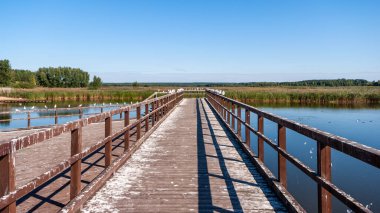 Bondary Beach on the iemianwka Reservoir, Podlasie, Poland