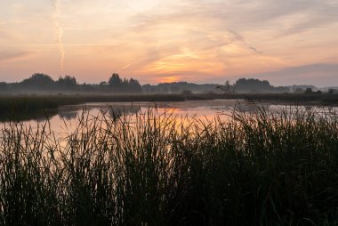 Beautiful Mornings' Ponds in Podlasie, Poland