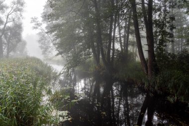 Suprali Vadisi, Podlasie, Polonya 'da sabah sisi
